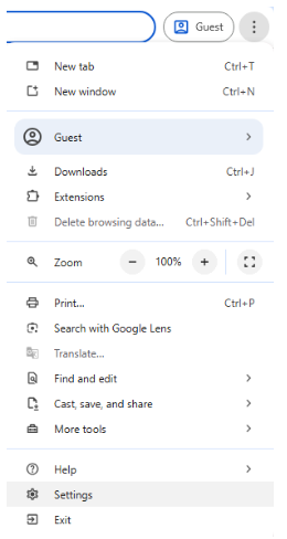 Google Chrome browser